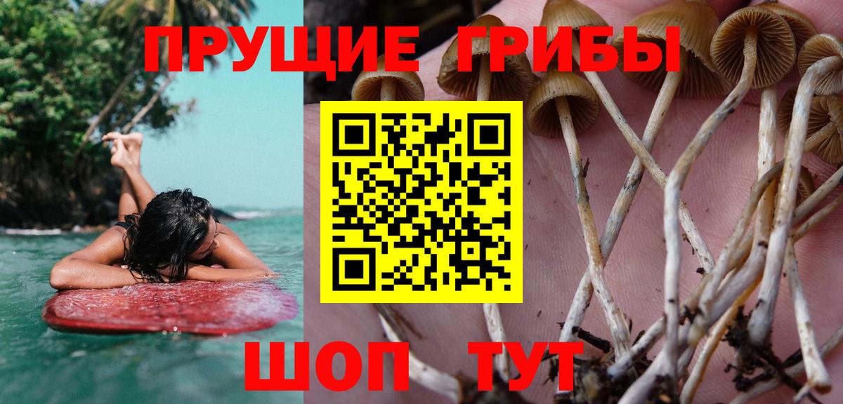 Краснознаменск  Псилоцибиновые грибы мухоморы  Вход с VPN 