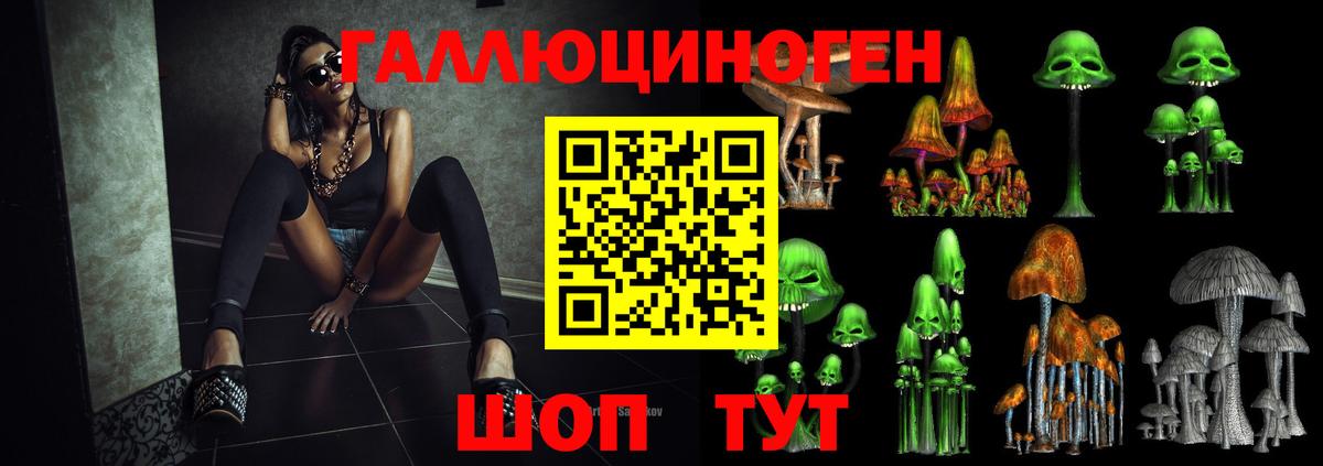 Галлюциногенные грибы Psilocybe Краснознаменск